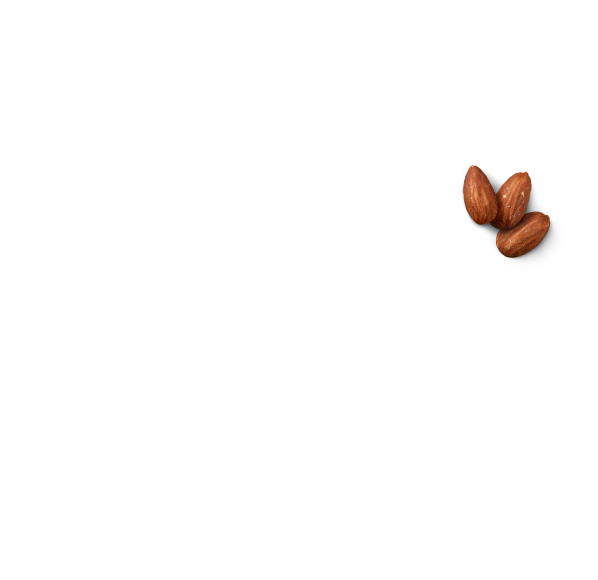 Pähkinöiden verkkokaupan perustaminen - photo №2